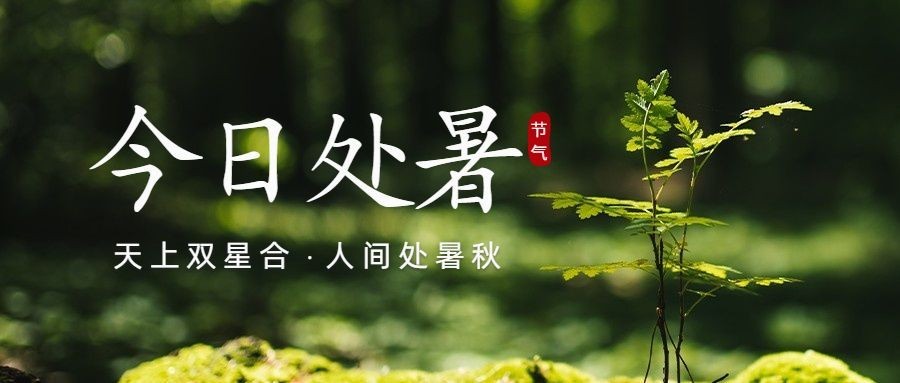 处暑节气祝福问候实景公众号首图