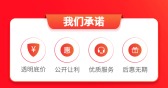 模板缩略图