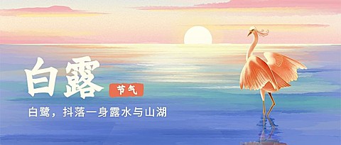 白露节气祝福白鹭手绘公众号首图