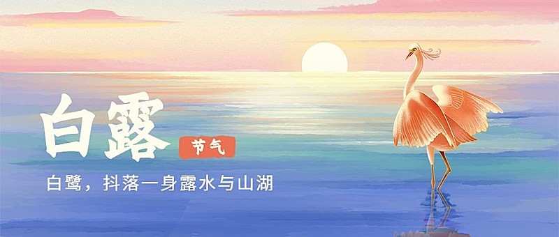 白露节气祝福白鹭手绘公众号首图