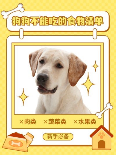 宠物知识科普小红书封面