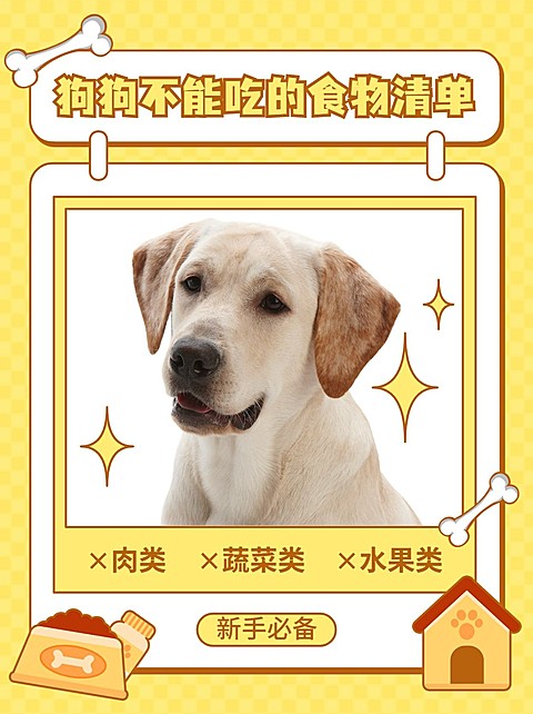 宠物知识科普小红书封面
