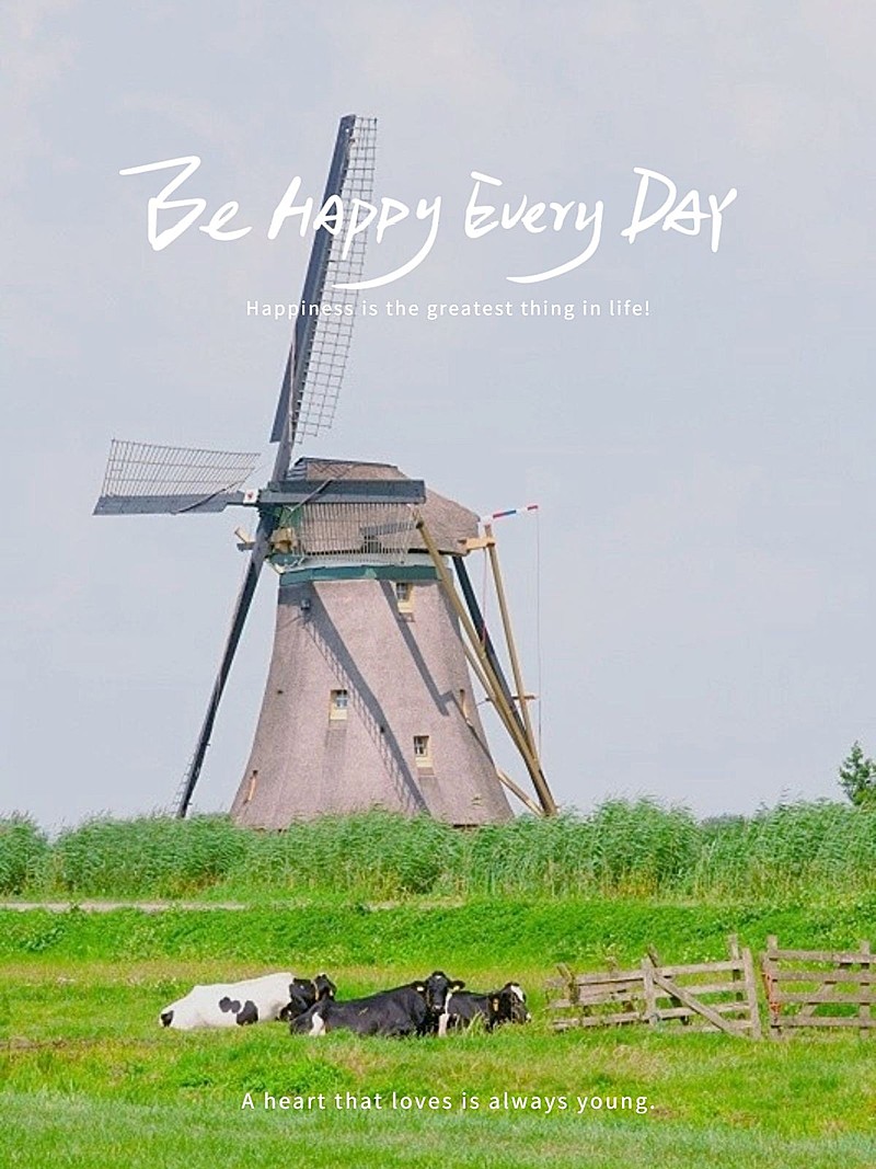 生活分享奶牛手写字简约风plog模板