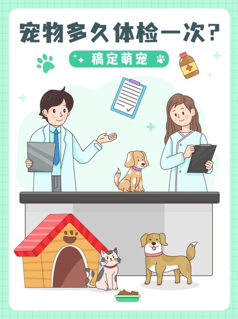 宠物知识科普小红书封面预览效果