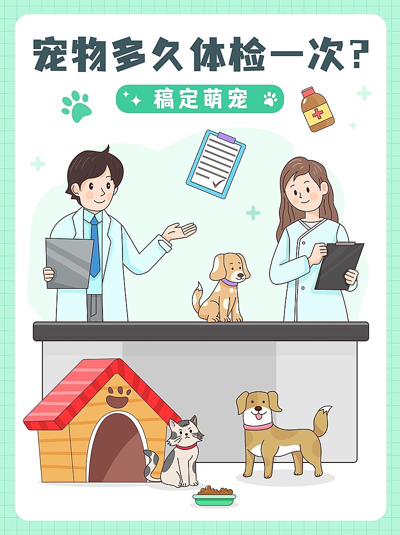 宠物知识科普小红书封面