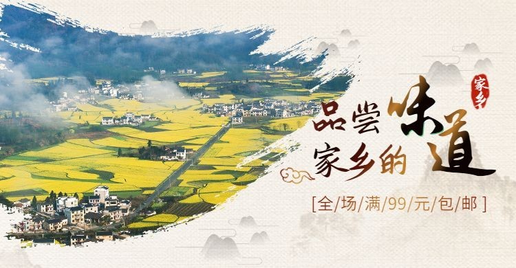 家乡土特产促销海报banner预览效果