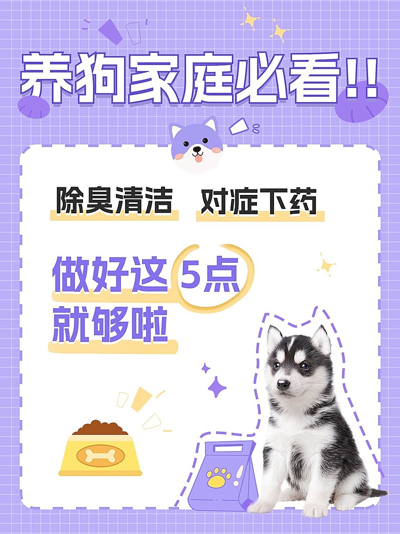 宠物知识科普小红书封面