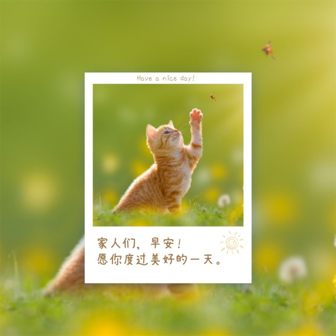 趣味可爱早安日签问候方形海报预览效果