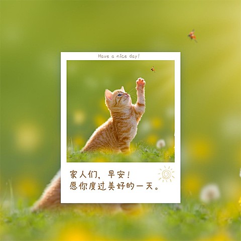 趣味可爱早安日签问候方形海报