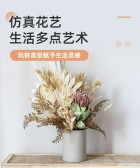 模板缩略图