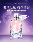 模板缩略图