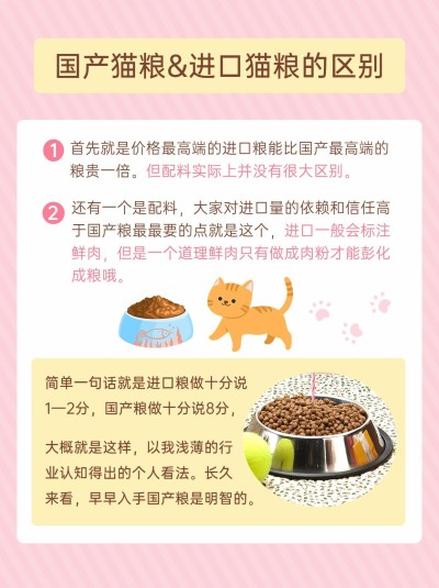宠物知识科普小红书配图
