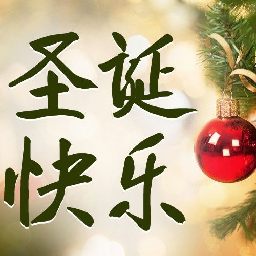 圣诞节祝福简约大字实景公众号次图预览效果