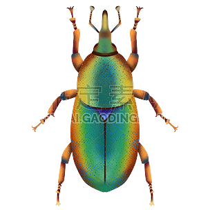 手绘-噪点纹理昆虫动物元素贴纸6