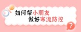 模板缩略图