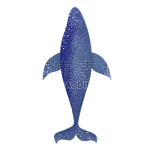 手绘-鲸鱼动物元素常规贴纸2