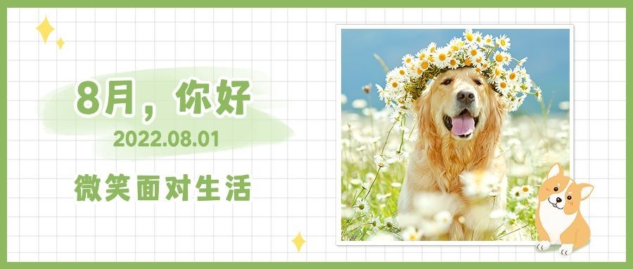 通用8月你好祝福可爱公众号首图预览效果