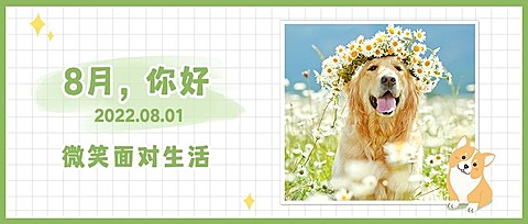 通用8月你好祝福可爱公众号首图