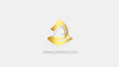 极简风格logo动画白色版AE模板