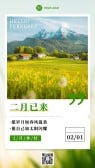 模板缩略图