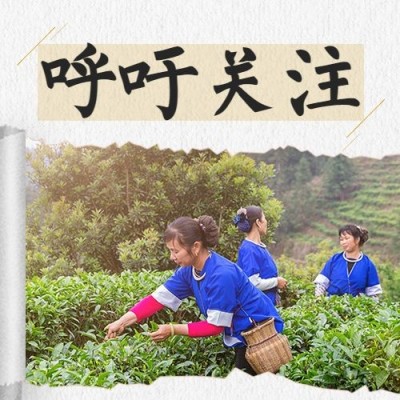 世界农村妇女日节日活动创意实景公众号次图