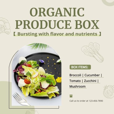 Organic Vegetables Salad Box Groceries and Packaged Food Ecommerce Product Image