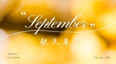 通用秋季祝福文艺广告banner