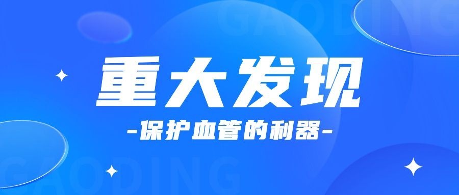 轻透几何风新闻资讯通知公众号首图