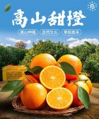模板缩略图