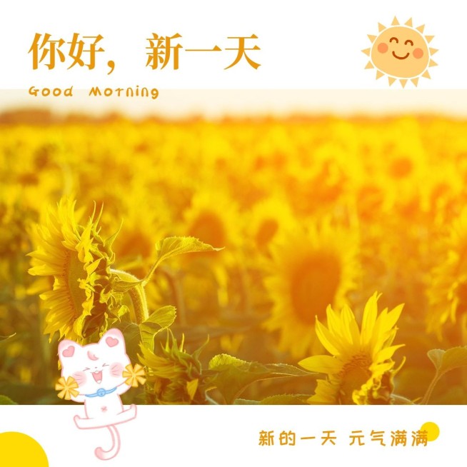 日签早安问候简约方形海报预览效果