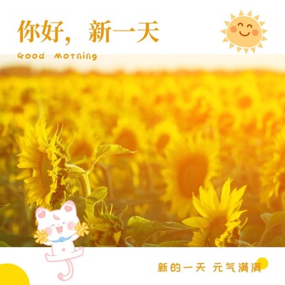 日签早安问候简约方形海报