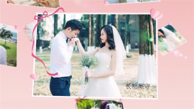 粉色丝带美好记忆婚礼相册集AE模板