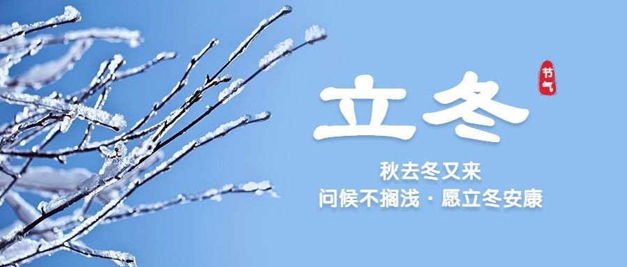 立冬节气实景排版霜落枝头公众号首图预览效果