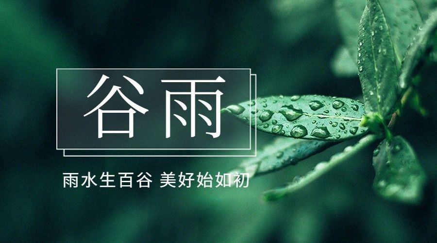 谷雨节气祝福春天实景横版海报预览效果
