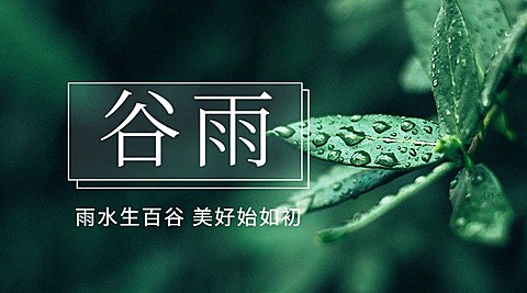 谷雨节气祝福春天实景横版海报