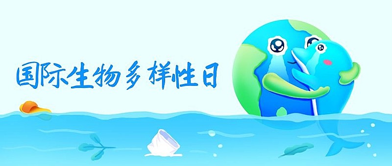 生物多样性日环保/公益公众号首图