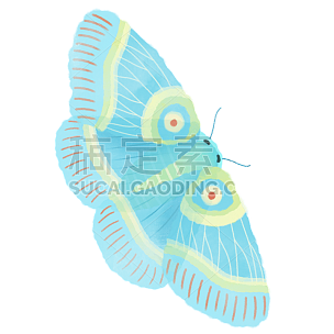 手绘-水彩昆虫动物元素贴纸-蝴蝶1