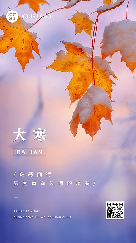 大寒节气祝福实景手机海报
