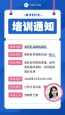 模板缩略图