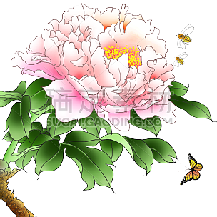 中国风植物花卉贴纸-牡丹