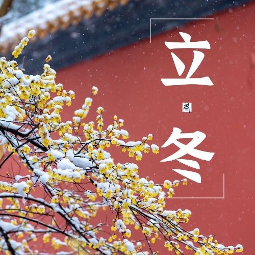 立冬节气全屏实景特写祝福公众号次图预览效果