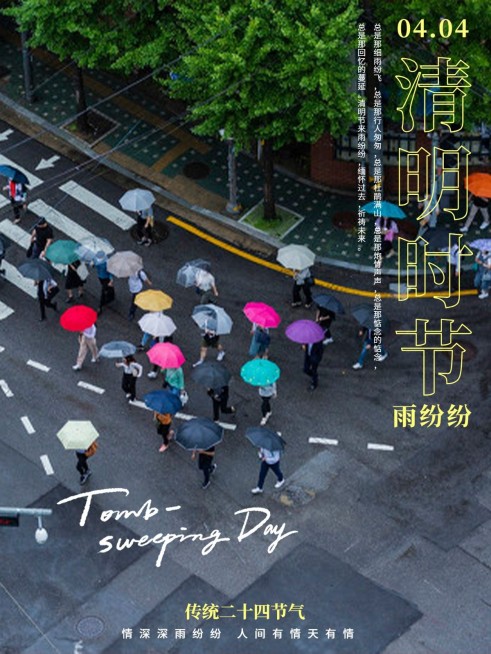 清明-节气春天节气祝福简约风plog模板预览效果