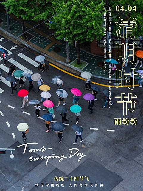 清明-节气春天节气祝福简约风plog模板