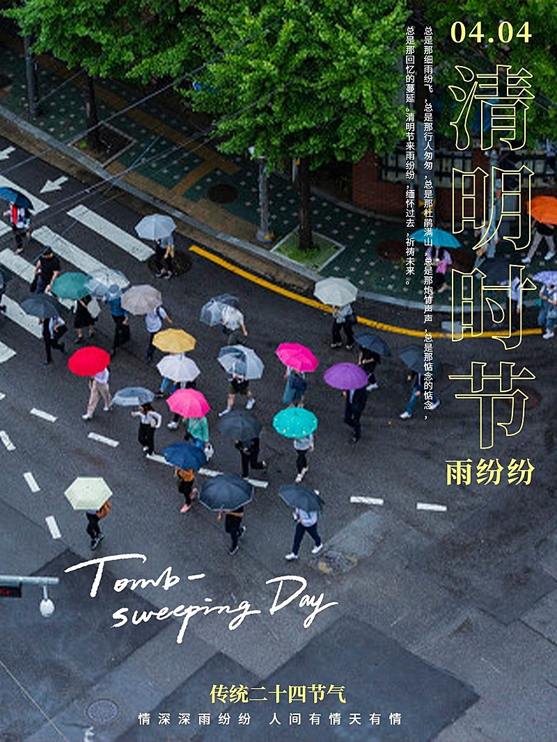 清明-节气春天节气祝福简约风plog模板