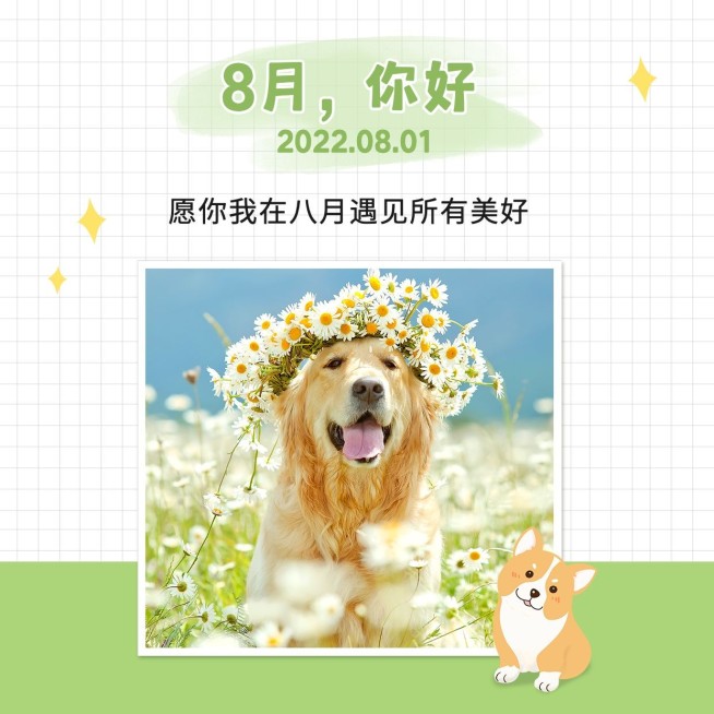 通用8月你好祝福可爱方形海报预览效果