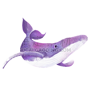 手绘-水彩鱼类元素常规贴纸-鲸鱼
