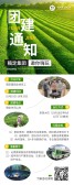 模板缩略图