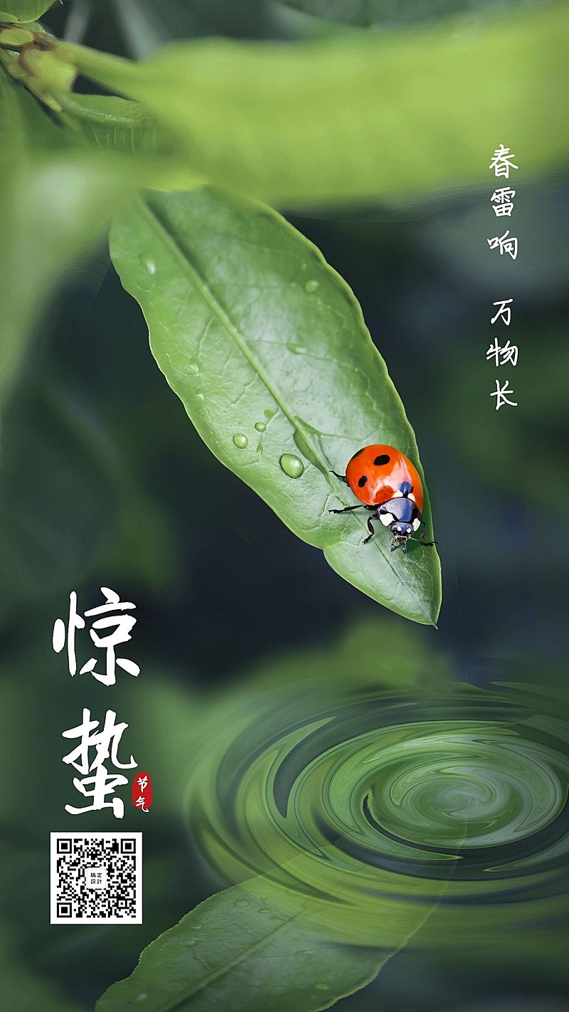 二十四节气惊蛰实景海报