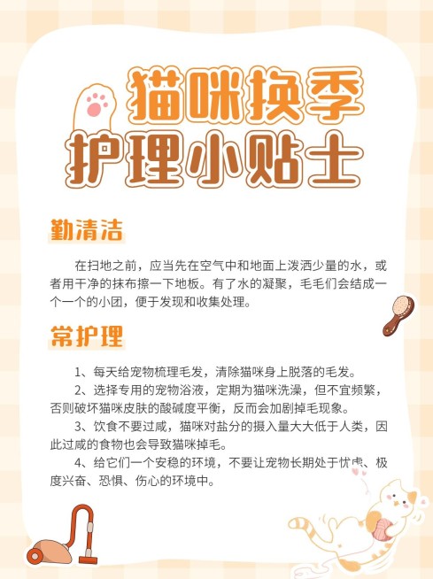 宠物知识科普小红书配图预览效果