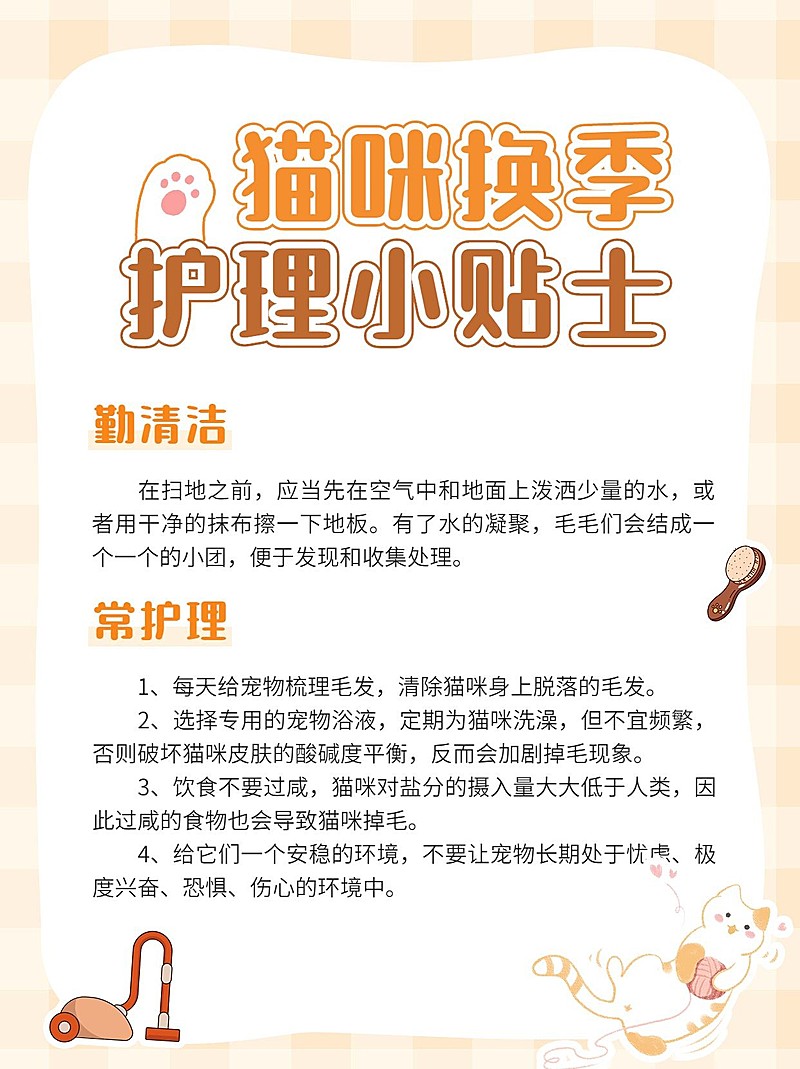 宠物知识科普小红书配图